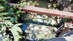 water-is-getting-polluted-due-to-garbage-being-thrown-in-the-well