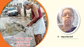 crows-sparrows-cattle-are-our-caste-elderly-couple-satisfying-the-hunger-of-homeless-animals-on-madurai