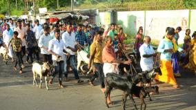 sivagangai-after-5-years-the-villagers-worship-family-deity