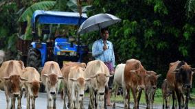 chance-of-rain-in-tamil-nadu-for-4-days-from-today