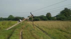 workers-who-propped-up-leaning-poles-near-tiruppuvanam-with-gum