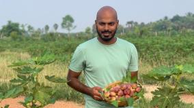 organic-farming-on-dryland-youth-graduate-achieves-dragon-fruit-export