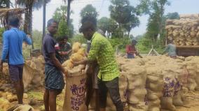 salem-6-lakh-coconuts-sold-per-week-from-jalagandapuram-mandis-to-northern-states
