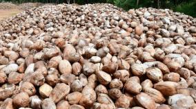 6-lakhs-coconut-export-to-north-indian-states
