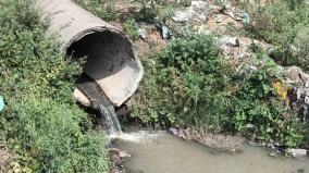 sewage-mixed-in-vaigai-river