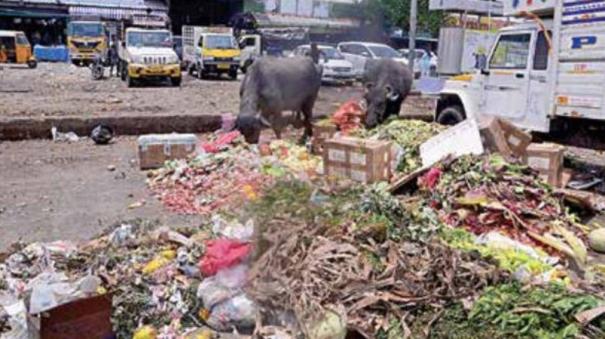 Koyambedu Garbage Dumps - Free Diseases Causes for People who Come to Market!