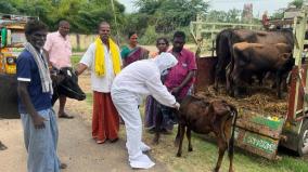 vaccination-on-the-national-disease-control-program-on-madurai