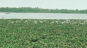 will-vaiyavur-nathapettai-lake-become-sanctuaries-bird-watchers-expect