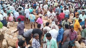 konganapuram-weekly-market-on-bakrid-festival-worth-rs-8-crore