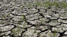 why-we-should-talk-about-el-nino