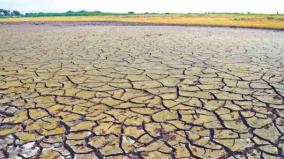 nellai-district-on-the-grip-of-drought-just-10-percent-water-on-dams