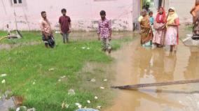 in-krishnagiri-residential-area-sanitary-disturbance-due-to-stagnant-sewage-along-with-rain-water