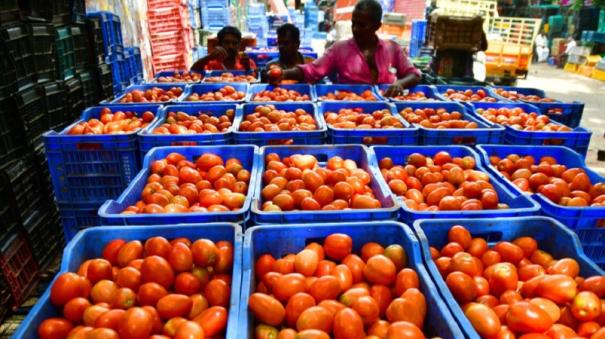 due to Shortage Tomato prices rise across the country