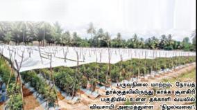 care-of-tomato-plants-by-shadow-netting-to-prevent-climate-change-diseases-shoolagiri