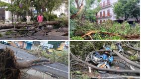 heavy-rain-in-puducherry-fallen-trees-power-outage-from-night-to-morning