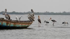 will-pulicat-developed-as-a-tourist-place