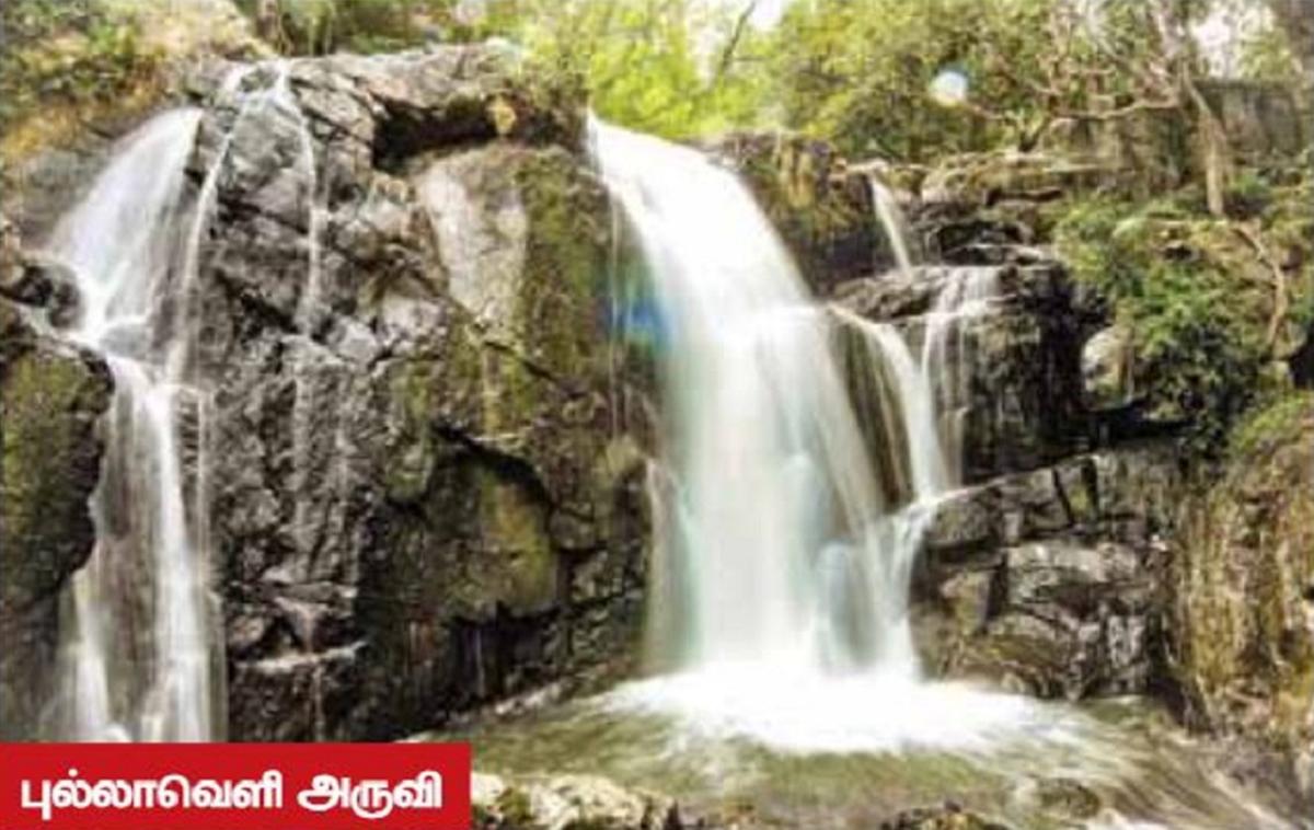 பாதுகாப்பு மிக்க சுற்றுலா தலமாக்கப்படுமா புல்லாவெளி அருவி? | Can Pullaveli Falls become a Safe Tourist Destination?