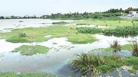 encroachments-issue-vilinjiyambakkam-lake