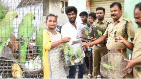 madurai-forest-department-created-awareness-public-who-handed-over-parrots