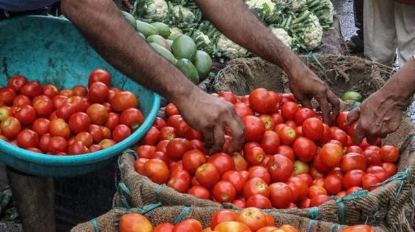 Sale of tomato at low price in Avadi farmers market