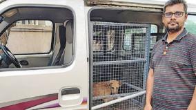 animal-guard-runs-shelter-for-stray-dogs-on-madurai