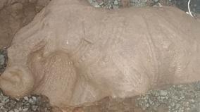 during-the-road-widening-work-at-thirubhuvanam-ancient-elephant-statue-found