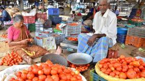 tomato-farmers-looking-for-support