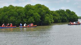 pichavaram-tourist-spot-issues