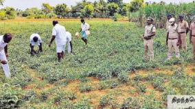 prisoners-grow-vegetables-naturally-sivaganga