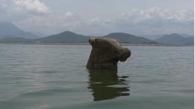 mettur-dam-water-level-falls-below-70-feet-nandi-idol-visible-after-2-years