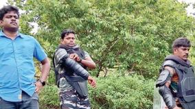 untethered-tiger-despite-search-by-elite-force-fear-continues-on-pachiparai-forest