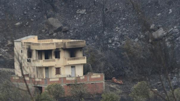 Kerusakan yang disebabkan oleh kebakaran hutan di Aljazair: 34 orang telah tewas sejauh ini
