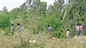 students-stroll-in-open-space-in-hosur