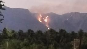 srivilliputhur-forest-fire-in-sathuragiri-hills-area