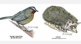 prime-minister-appreciates-coimbatore-artist-who-documents-endangered-birds-and-animals
