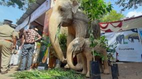 stick-elephants-built-by-craftsman-attracts-at-hogenakkal-adiperku-festival