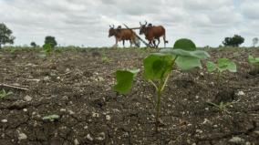 less-than-normal-rainfall-on-salem-namakkal-erode-dharmapuri-farmers-worried