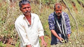 nilgiris-kunta-brothers-who-sell-tomatoes-at-low-prices