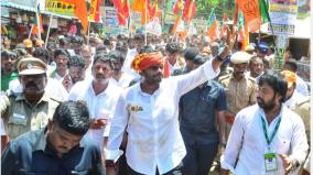 bull-on-the-way-of-annamalai-walking-tour