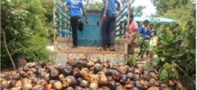 nss-day-on-sep-on-24th-the-work-of-planting-one-crore-palm-seeds