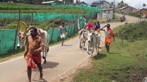 'Traditional Hill Rice' on the Brink of Extinction - Kodaikanal Farmers Flocking to Swami