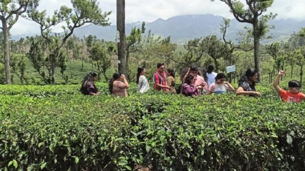 Munnar, a Tourist's Paradise: From Plantation to Factory to Tourism Destination