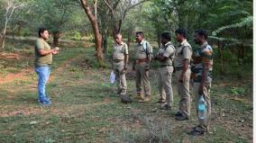 at-the-eighth-place-is-dharmapuri-forest-reserve-144-elephants-are-confirmed-to-live-in-the-survey