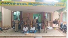 forest-department-imposed-a-fine-of-rs-3-lakh-on-two-people-who-cut-and-smuggled-sandalwood-from-patta-land