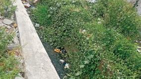 rainwater-canals-issue-in-kacheepuram