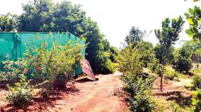 chokkanathapuram-panchayat-administration-has-turned-village-into-oases