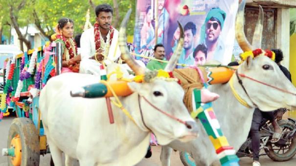 in thiruchendur bridegroom brought the bride in a bullock cart