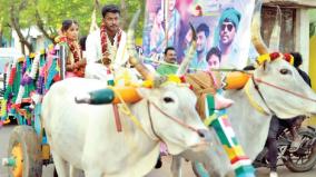 in-thiruchendur-bridegroom-brought-the-bride-in-a-bullock-cart