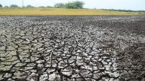 nellai-district-water-availability-in-dams-a-concern