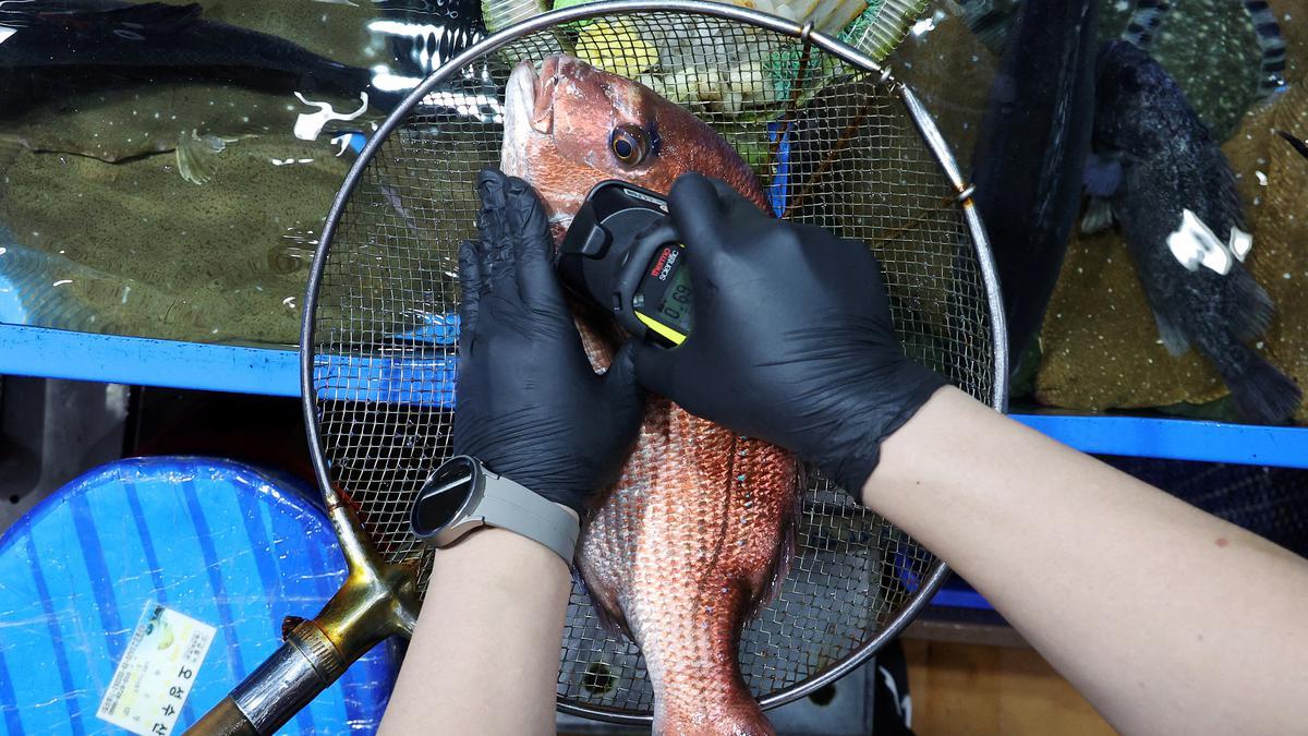 புகுஷிமா அச்சத்தால் தென் கொரிய கடல் உணவு வர்த்தகர்களின் வாழ்வாதாரம் பாதிப்பு | South Korea’s seafood sellers reel as science fails to ease Fukushima fears